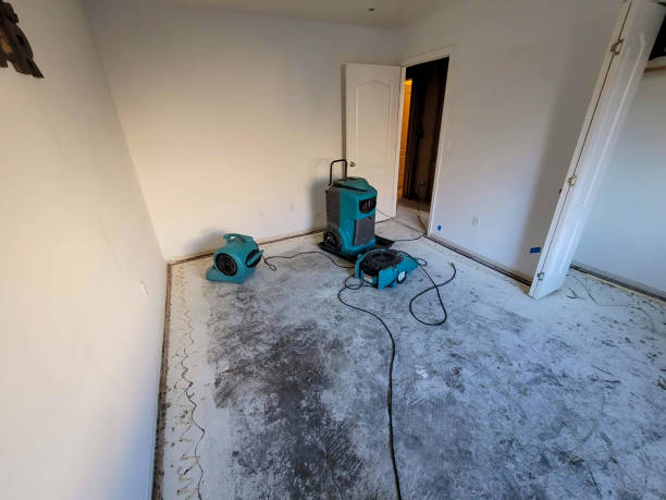 Reliable Morris, AL Water damage restoration Solutions