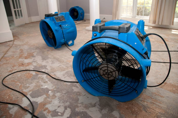 Best Sewage cleanup and water damage restoration  in Morris, AL