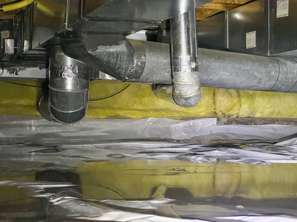 Best Water damage restoration near me  in Morris, AL
