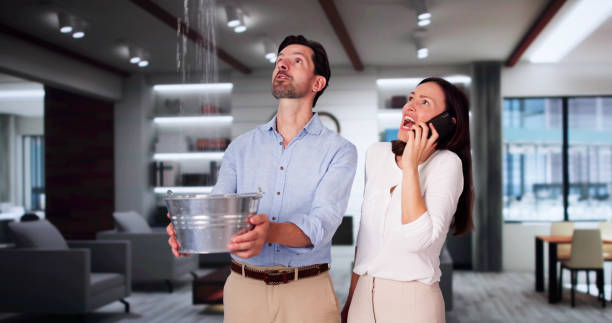 Best Professional water damage repair  in Morris, AL