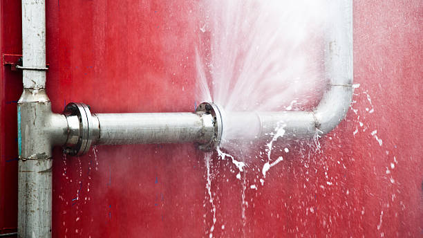 Best Water damage restoration near me  in Morris, AL
